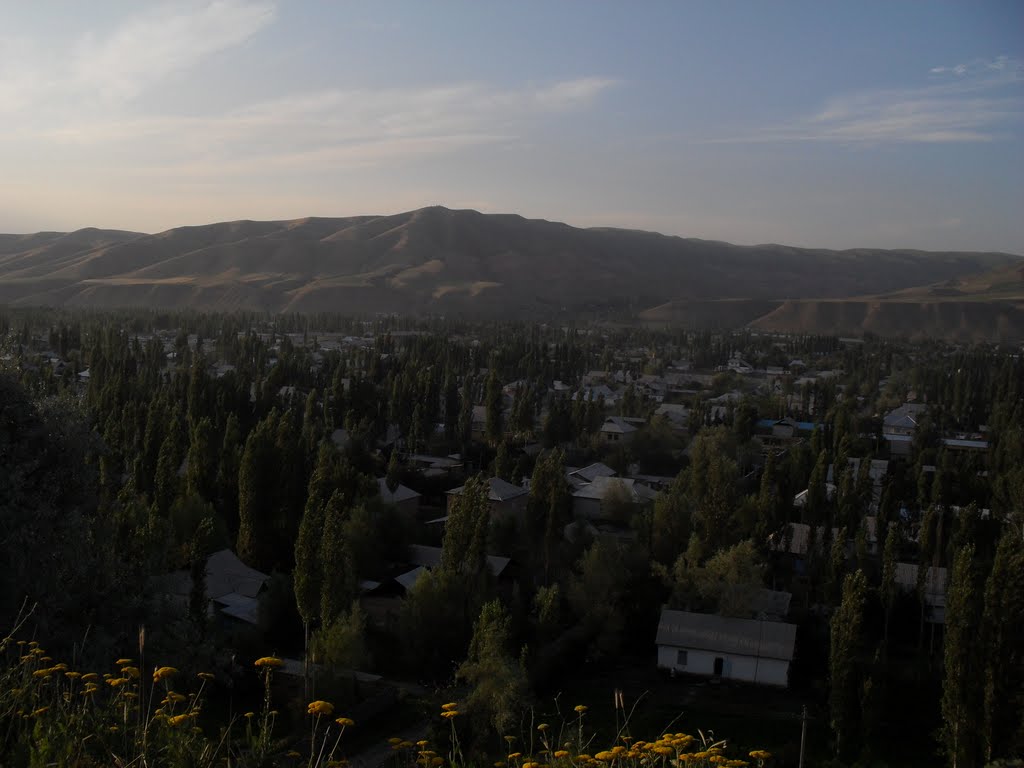 Kara-Kuldja
