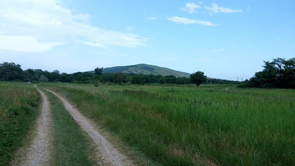 Гора Дебри