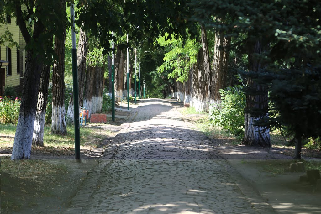 Аллея