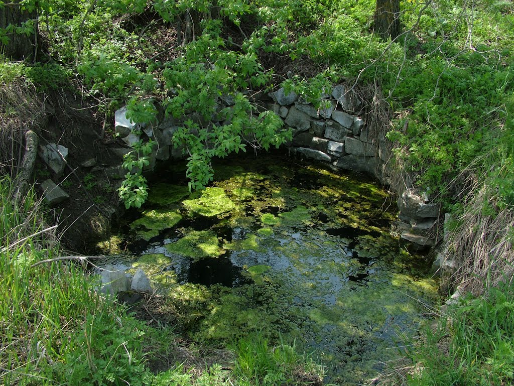 Купа купа.