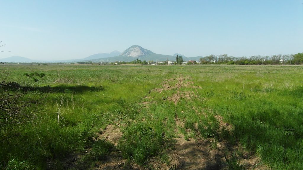 Поле 2012, Field