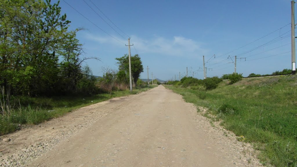 Дорога Вдоль Дач 2012, The road along the Duch