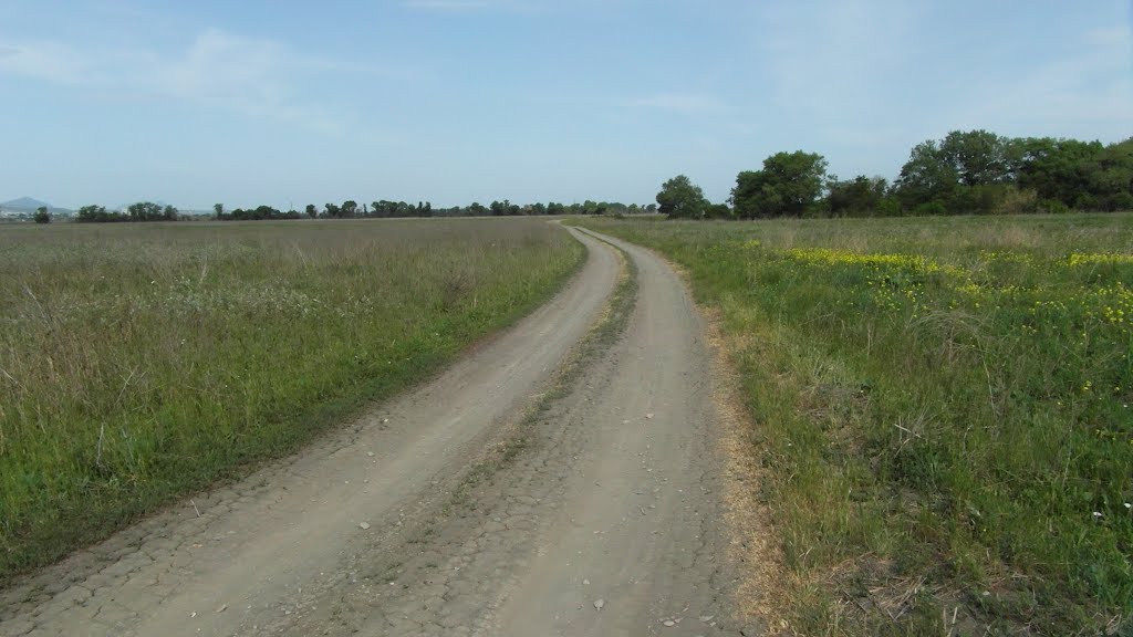 Поле 2012, field