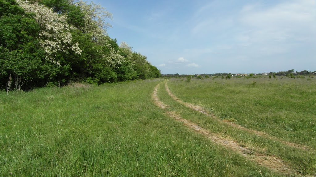 Дорога Вдоль Леса 2012, Along the Forest Road