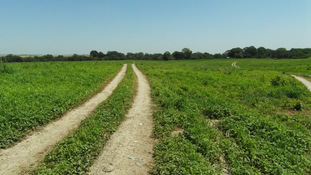 Дорога В Поле 2012, The road to the field