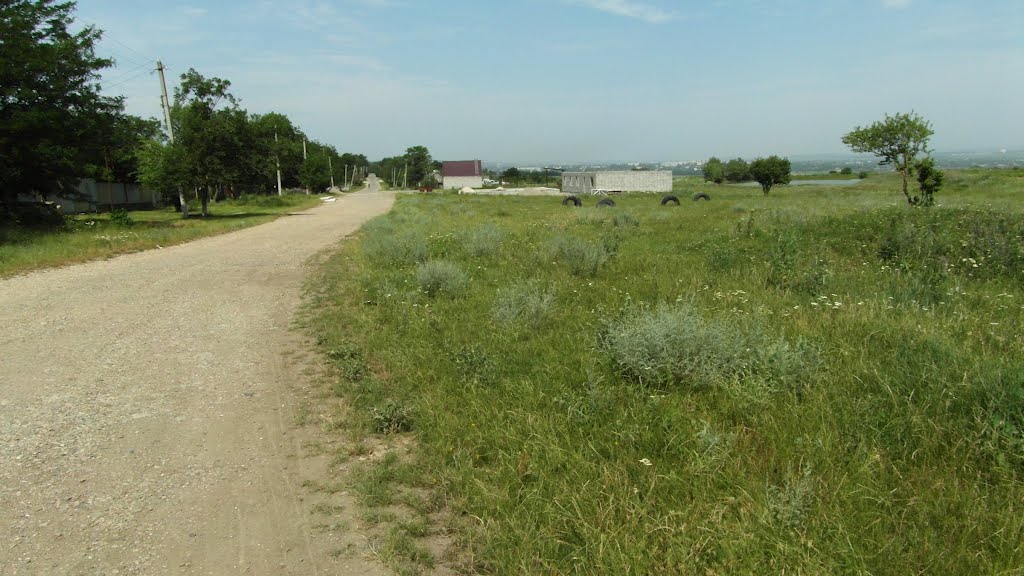 Окраина Хутора Возрождение 2012, Outskirts of the village revival