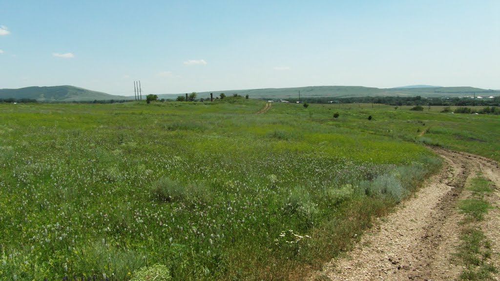 23.06.2012