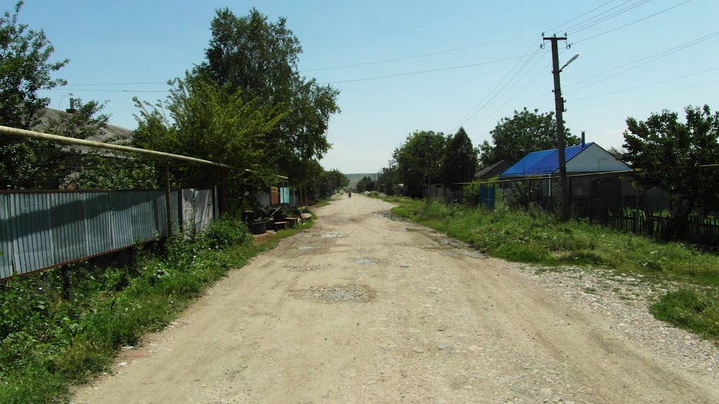 Одна Из Немногих Улиц Хутора Садовый 2012, One of the few Street Garden Farms