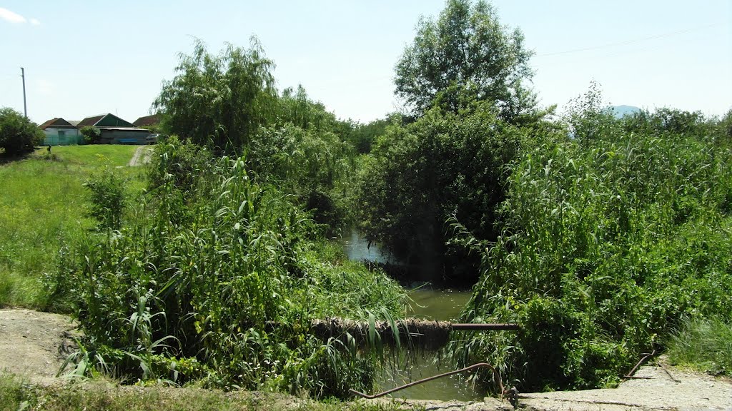 Река Джемуха 2012, River Dzhemuha