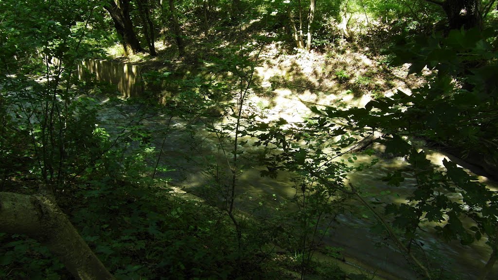 Лесная Река 2012, Forest River