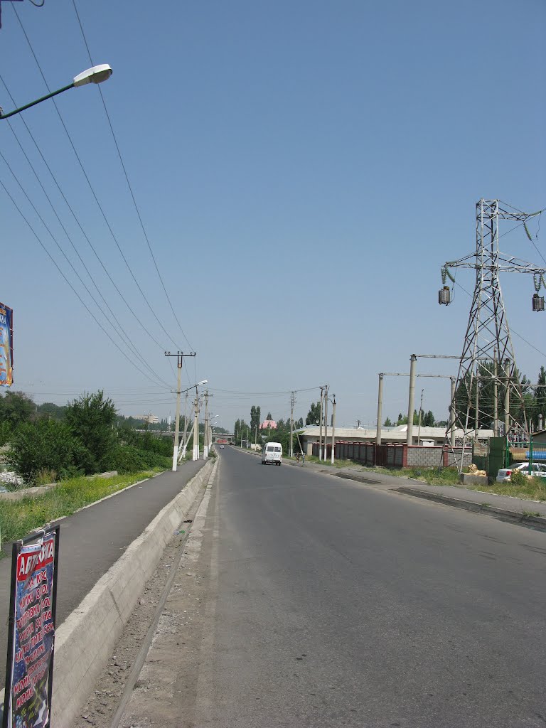 Osh, road along Akbura river (~N)