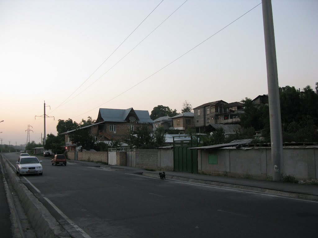 Osh, road along Akbura river (~N)
