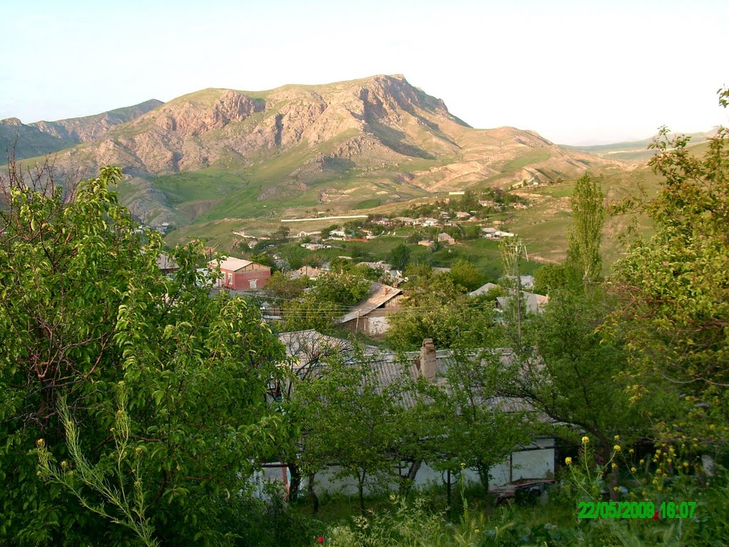 sulyukta