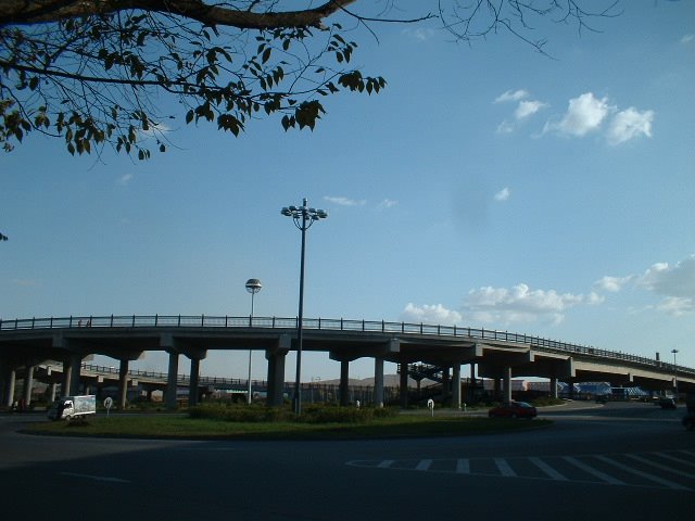道口立交桥