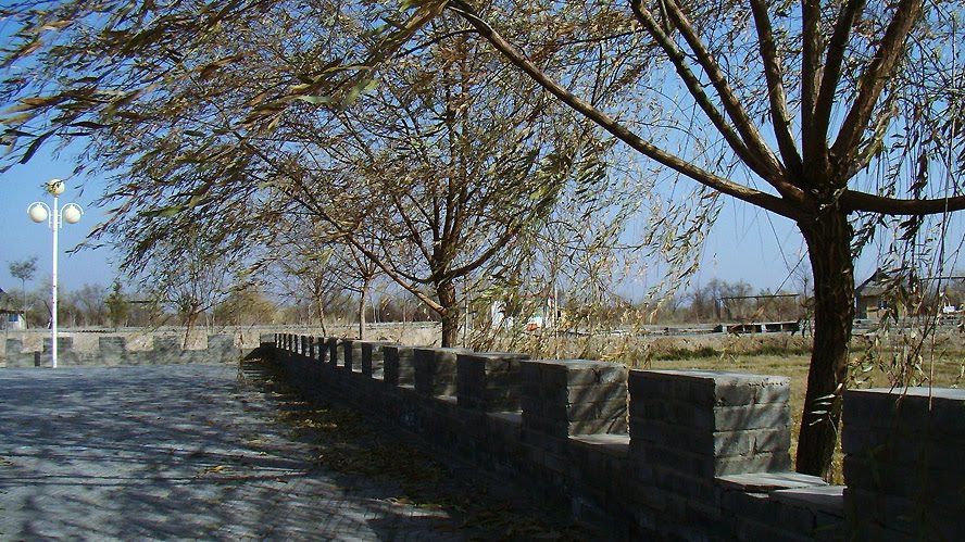 悠闲小景2
