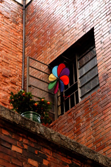 historic urban district, Canton(Guangzhou), China