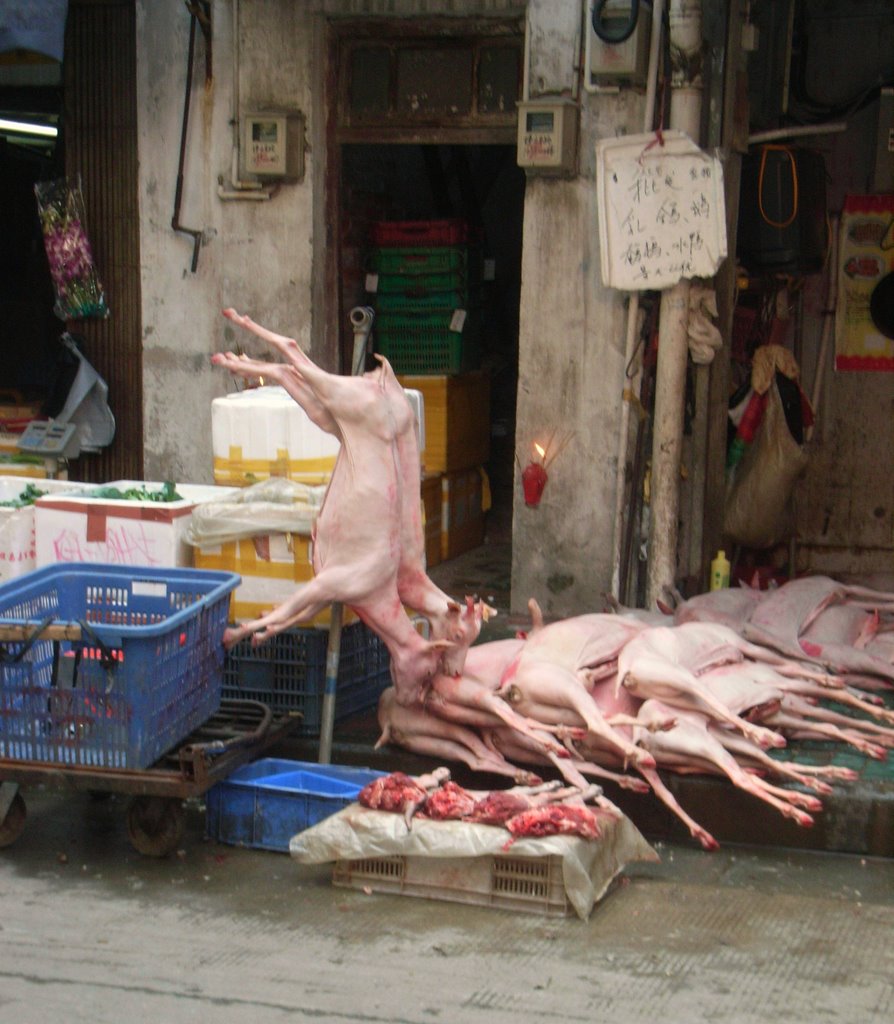 Goats, Rams, Market, Guangzhou
