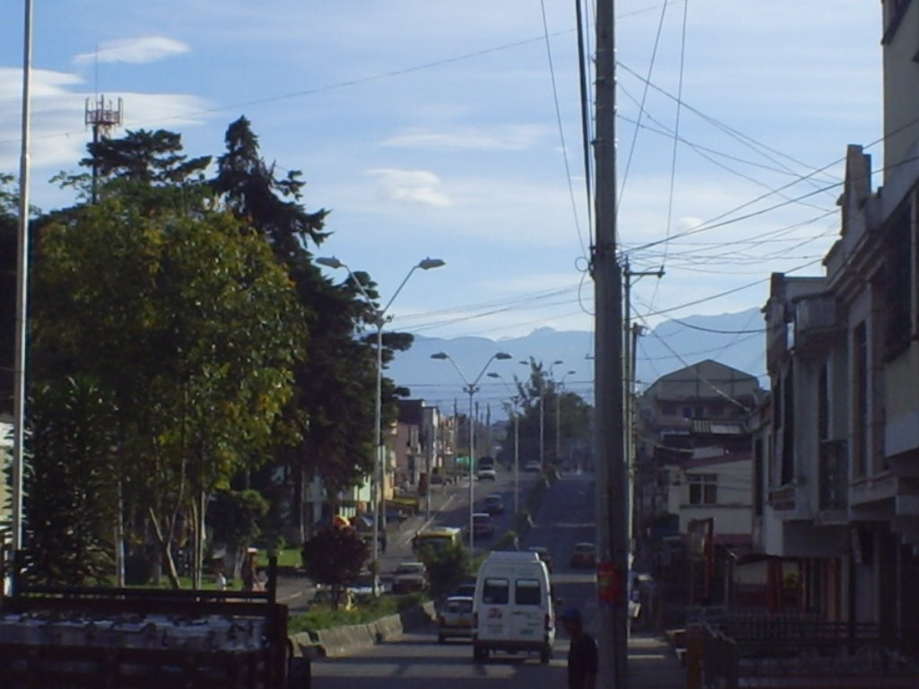 armenia-bosque