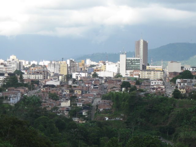 Caicedonia