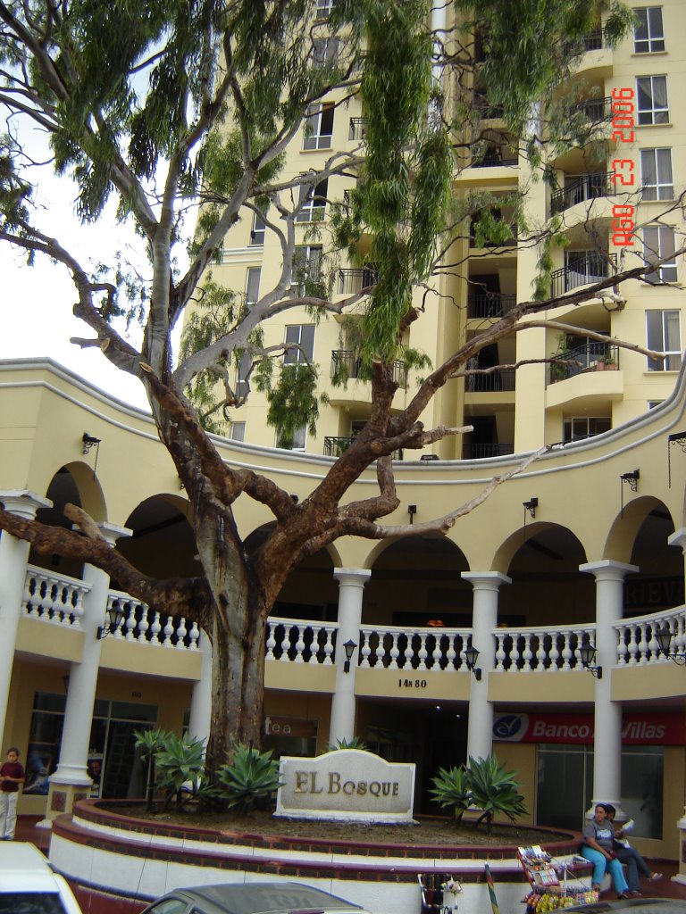 Una Muerte Lenta..... Edificio El Bosque