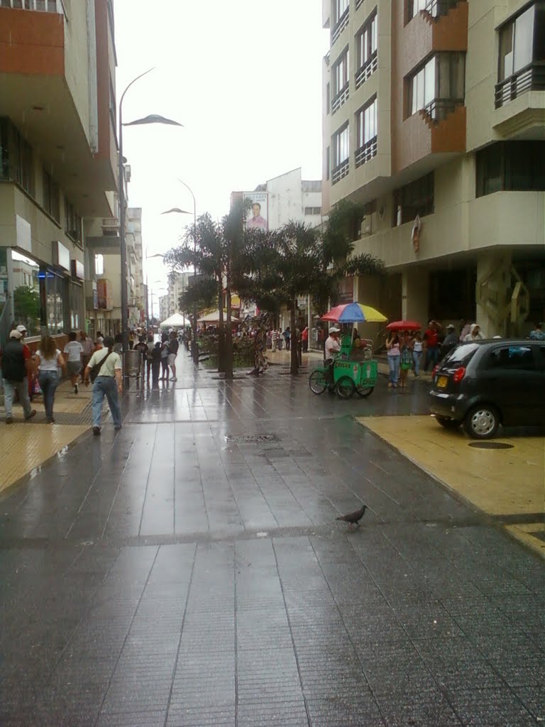 Pasaje Comercial