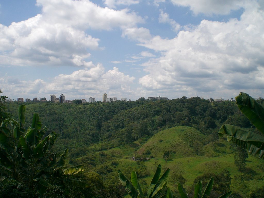 CIMG0362