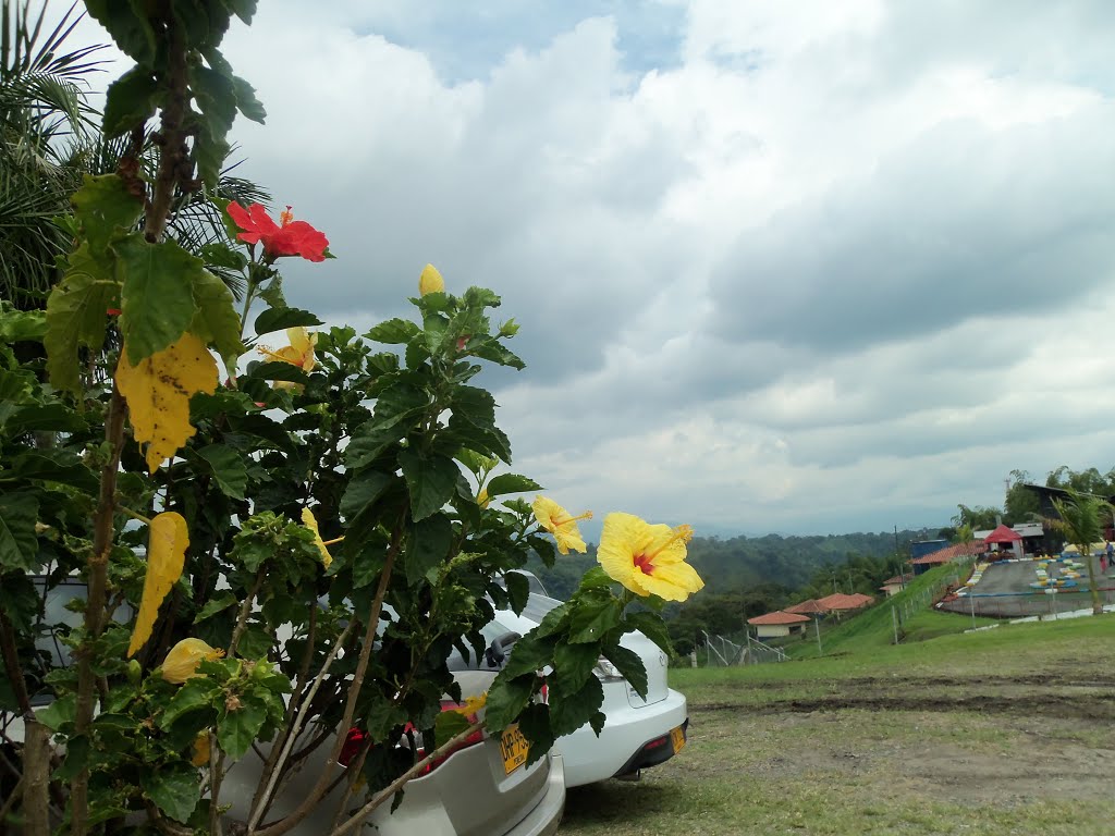 flores y parqueo en parador turístico, armenia-quindío