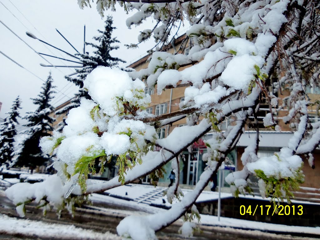 Spring & Winter at same time
