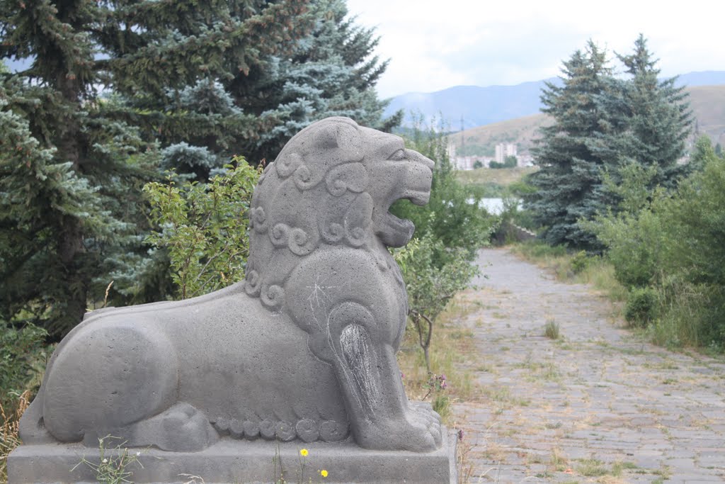 Առյուծը