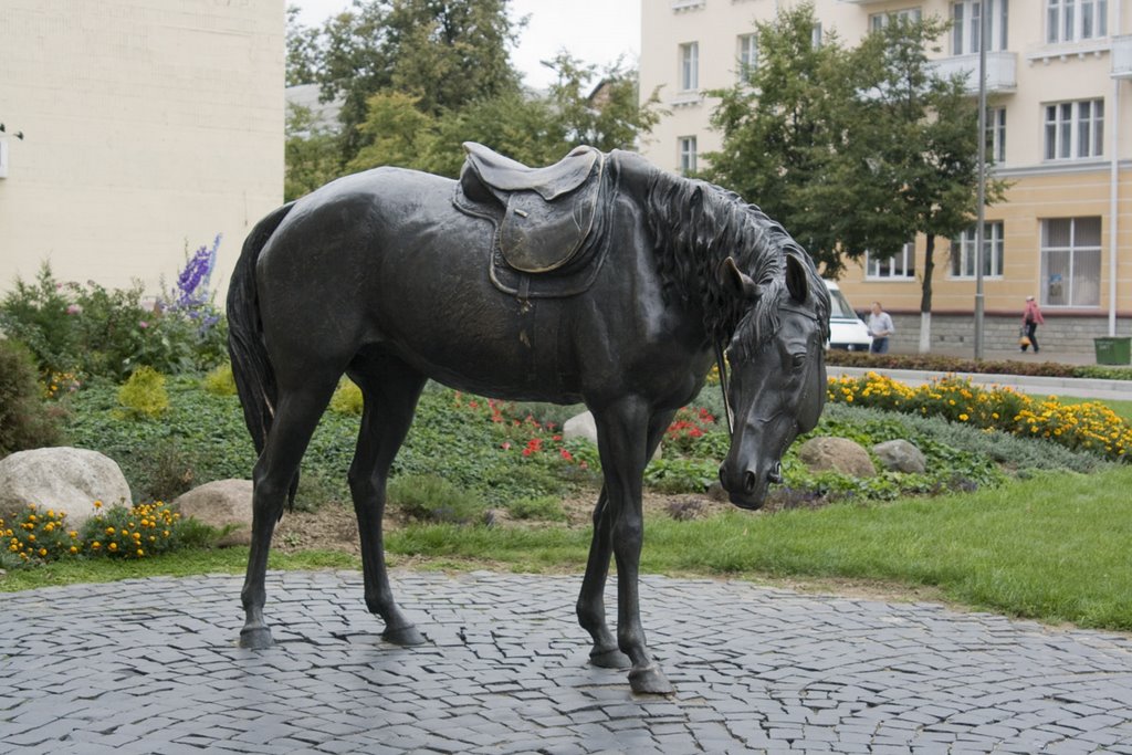 Steed