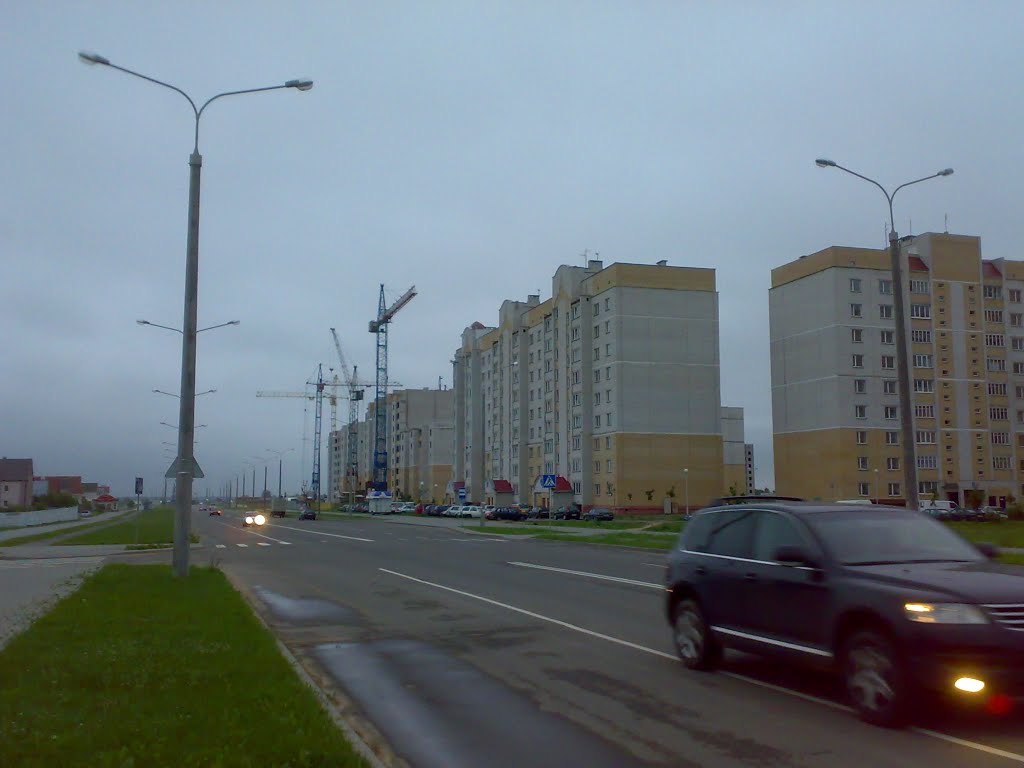 Боровки (2010)