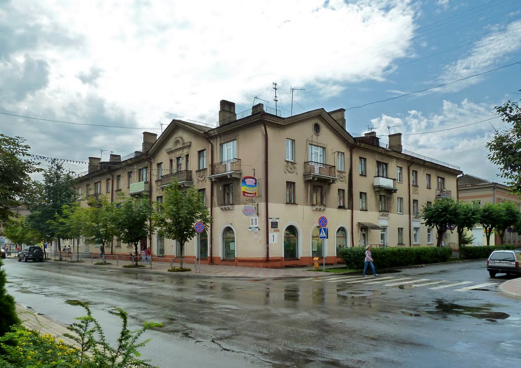 Советская ул., 88