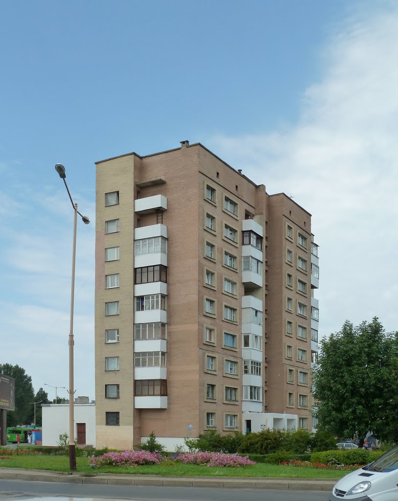 ул. Ленина, 55