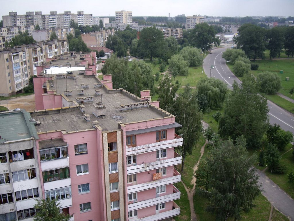 roof