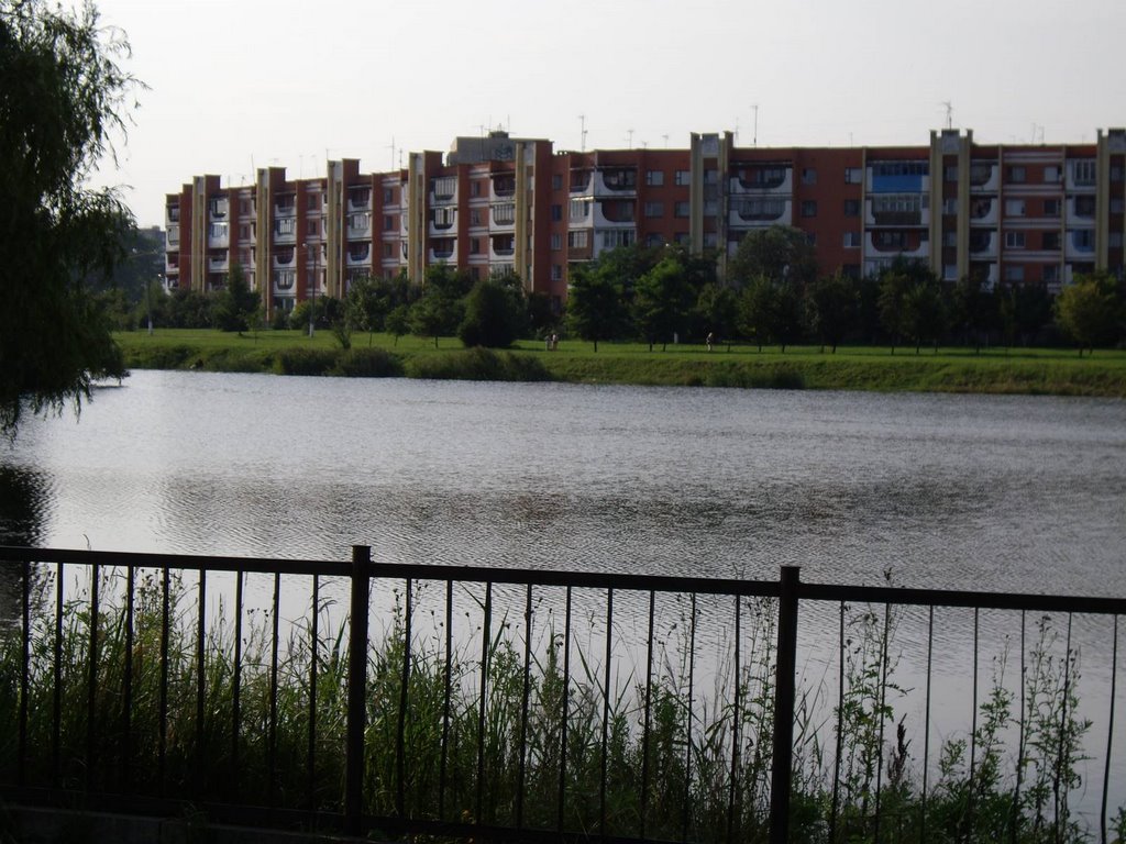 the lake
