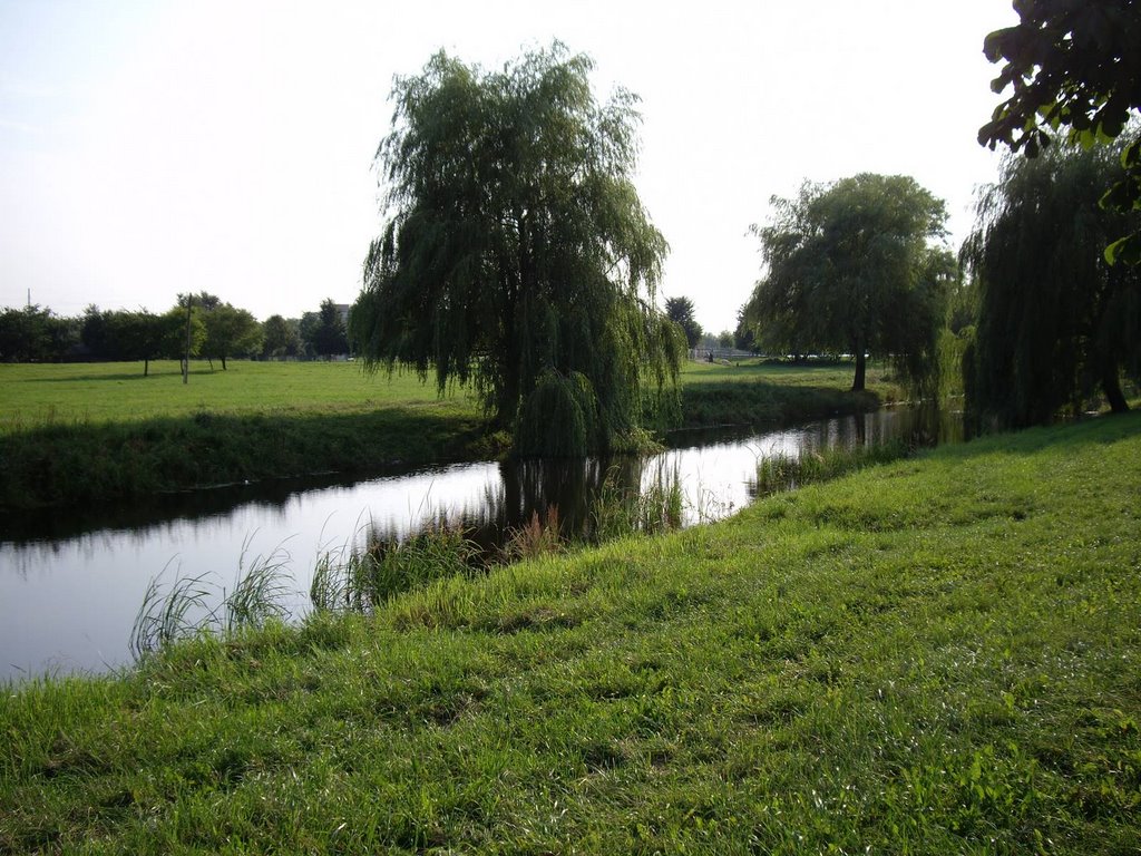 water