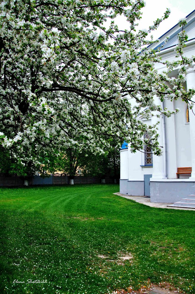 Подворье Покровского собора. Барановичи.   Town church of Pokrovsky Cathedral. Baranovichi