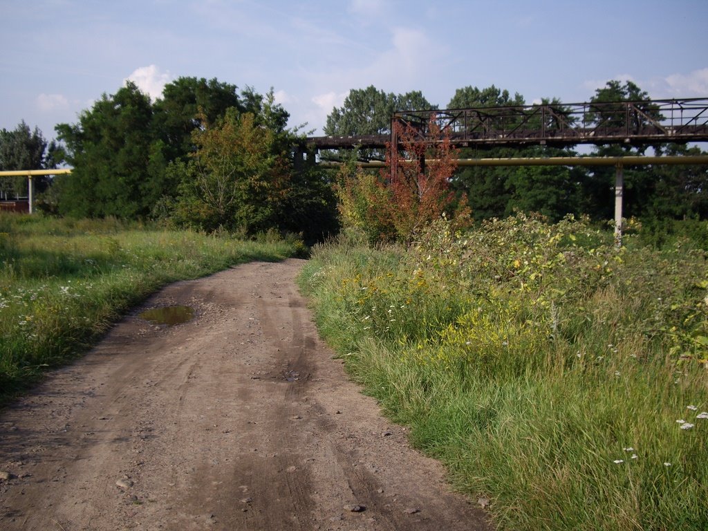 дорога