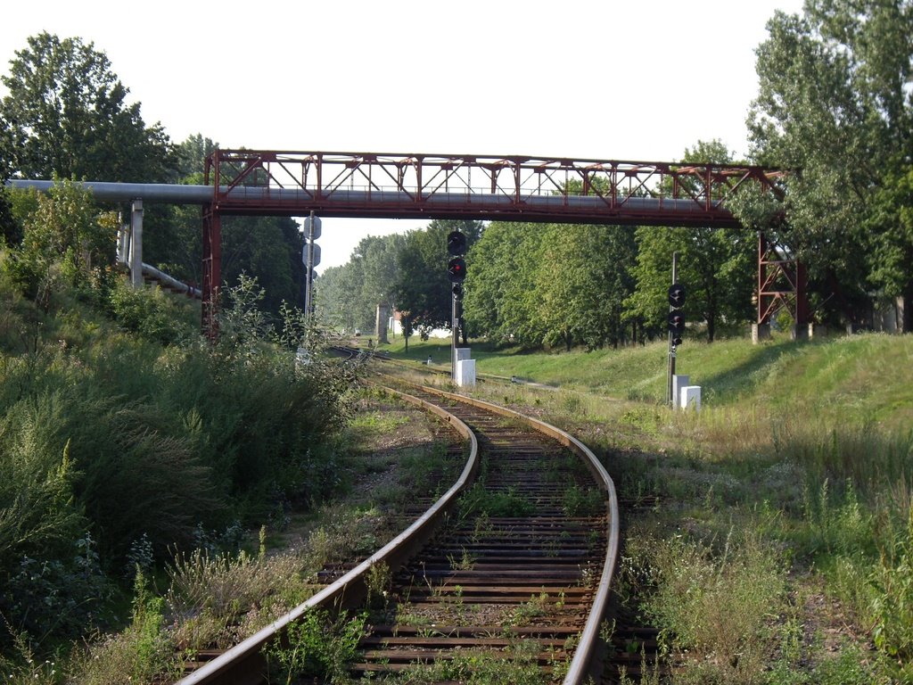 рельсы в Барановичах