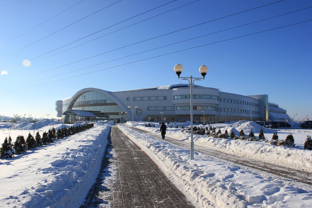 Лядовы палац