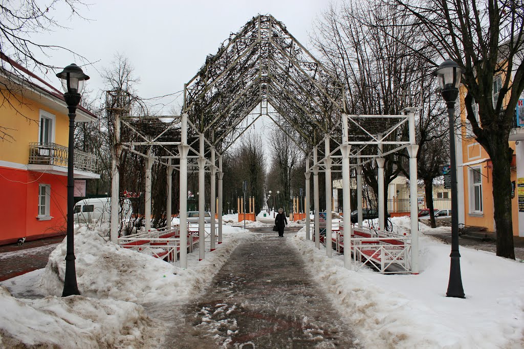 Бульвар Штокерау. Boulevard Stockerau.