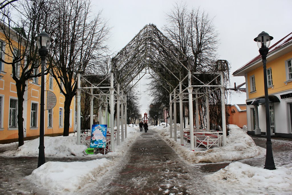 Бульвар Штокерау. Boulevard Stockerau.