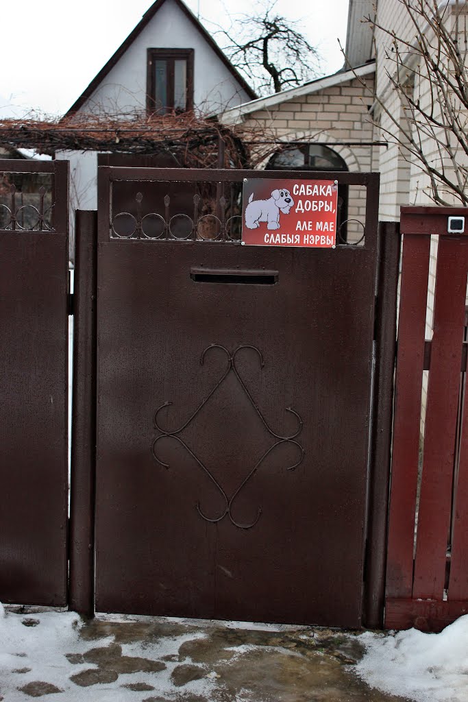 Сабака добры, але мае слабые нэрвы :)