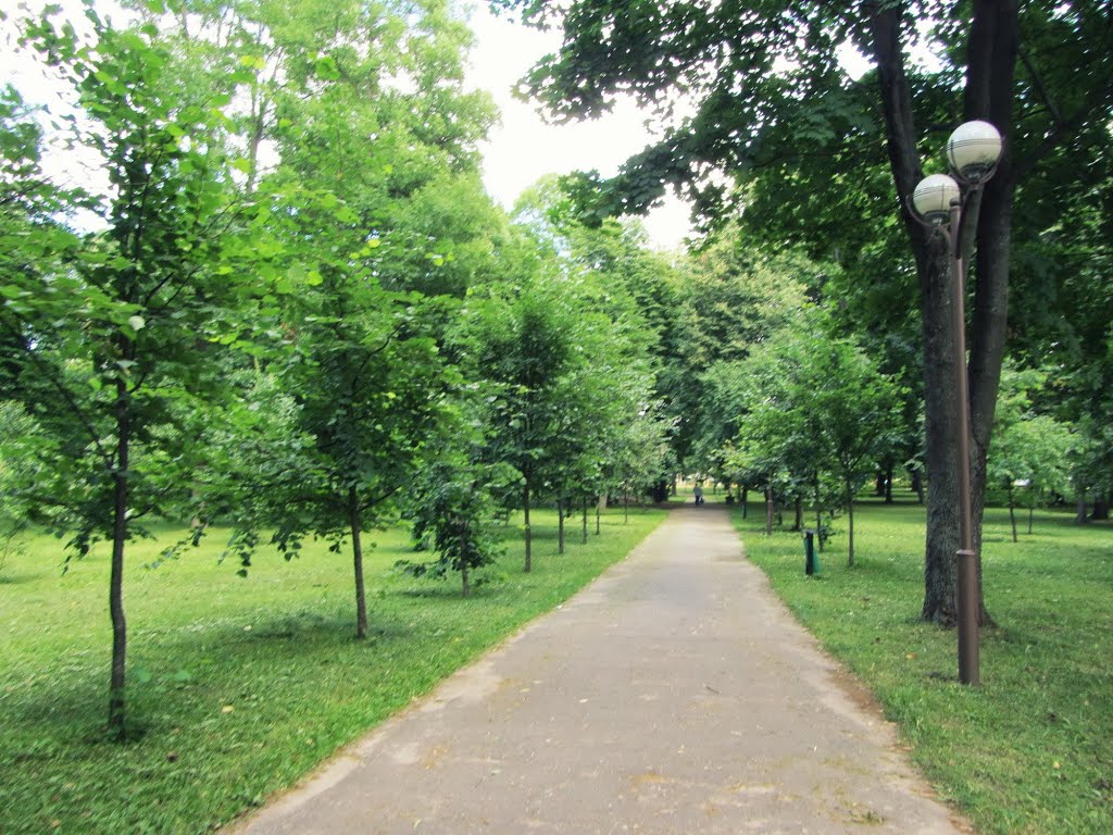 в парке