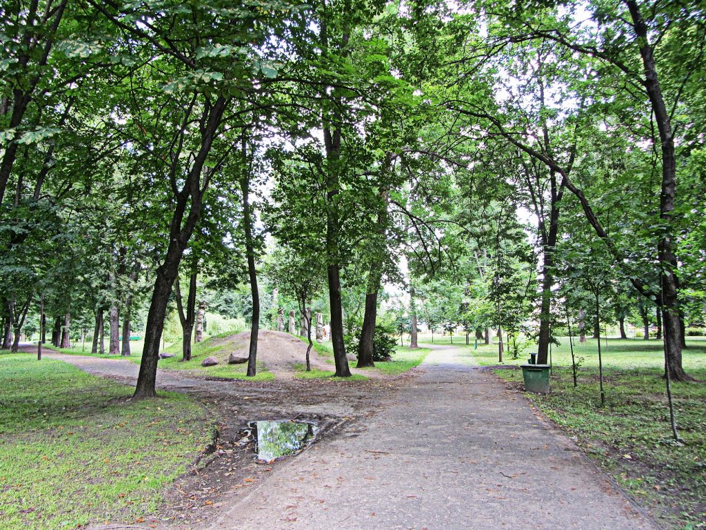 в парке