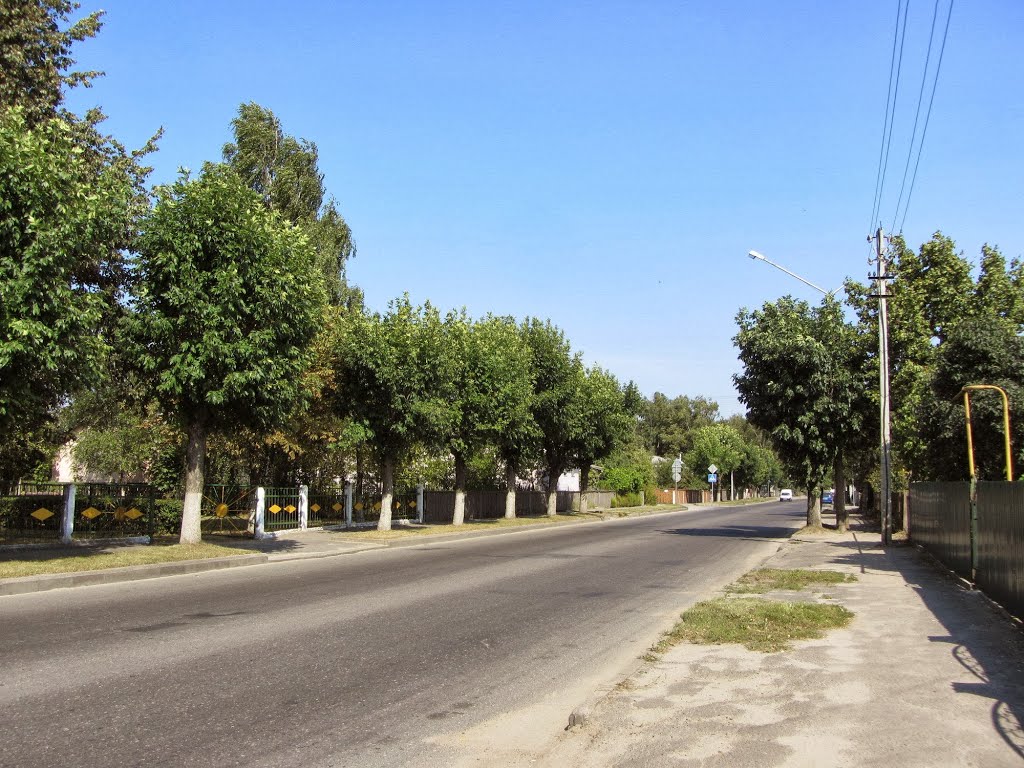 улица Баранова