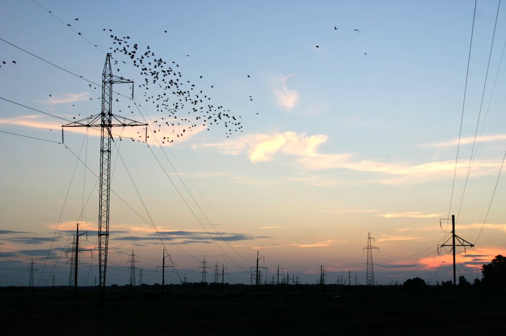 Закат в Белоозерске. Высоковольтные линии/Sunset over Industrial Landscape