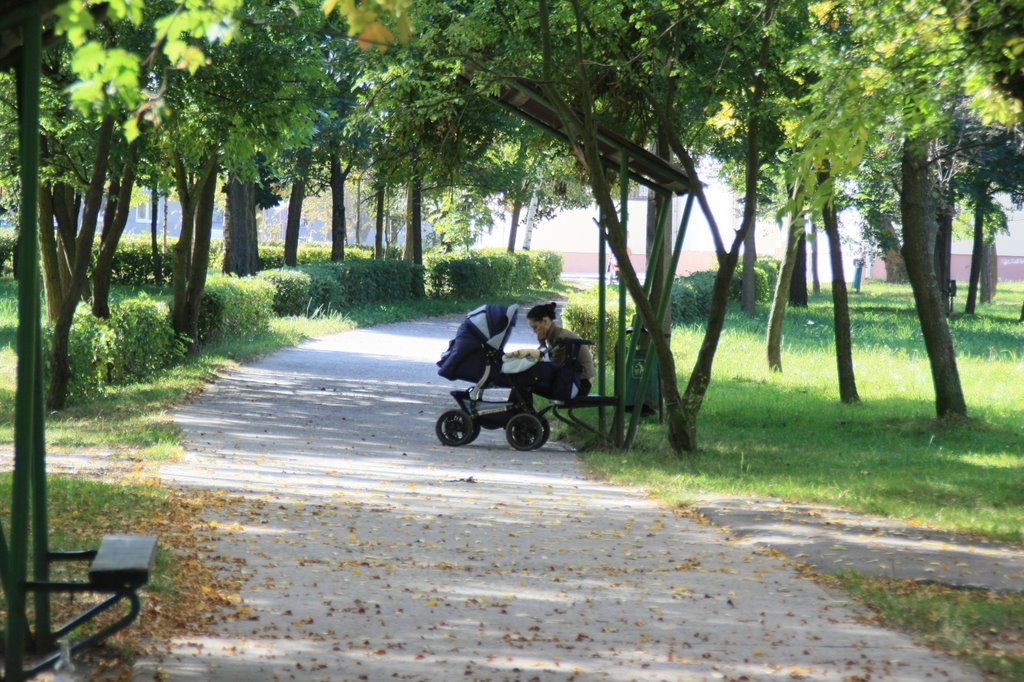 Autumn in the Park, Beloozersk, Brest region, Belarus