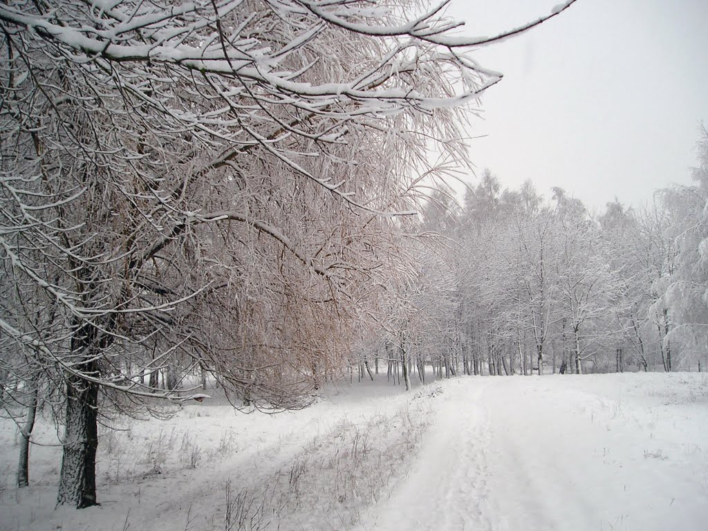 Зима (Winter)