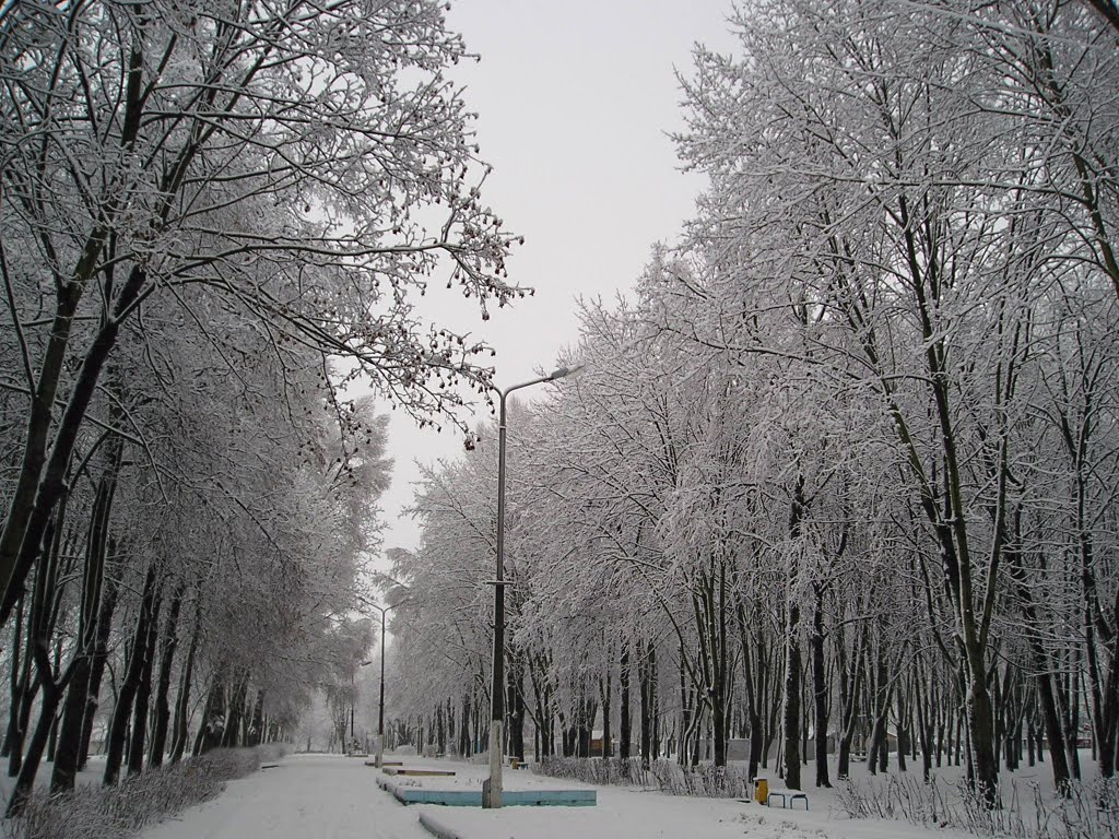 В парке зимой (Winter in the park)